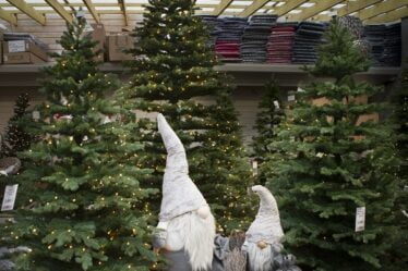 Les ventes d'arbres de Noël en plastique augmentent - 18