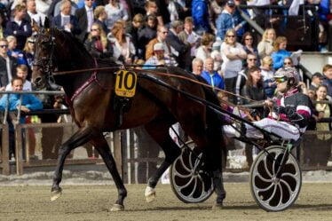 Fièvre hippique avant le pot record de V75: 90 millions NOK - 16