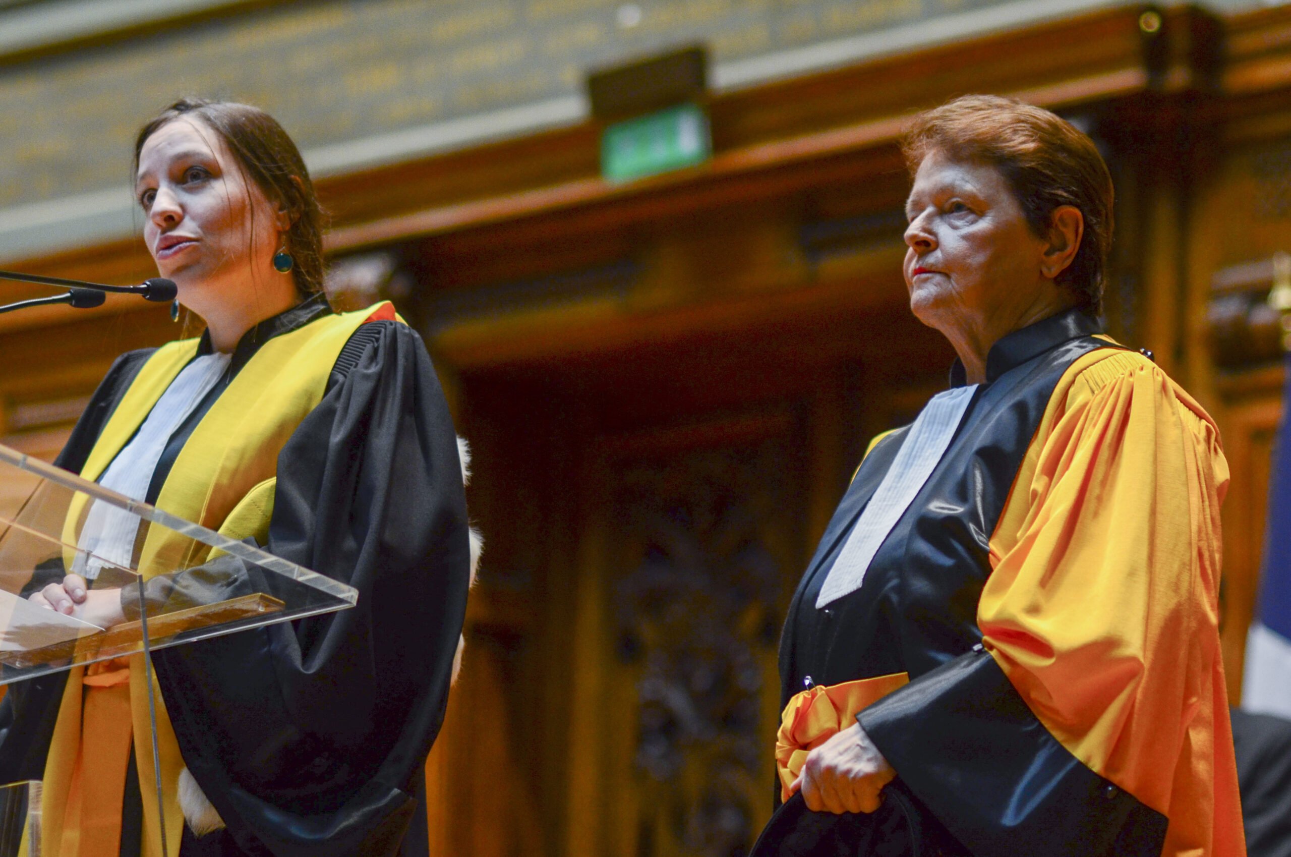 Brundtland était doctorat honoris causa à la Sorbonne 4 Brundtland était doctorat honoris causa à la Sorbonne - 3