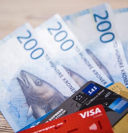 La plupart des Norvégiens sont plus préoccupés par l'économie norvégienne que par leurs finances privées - 13