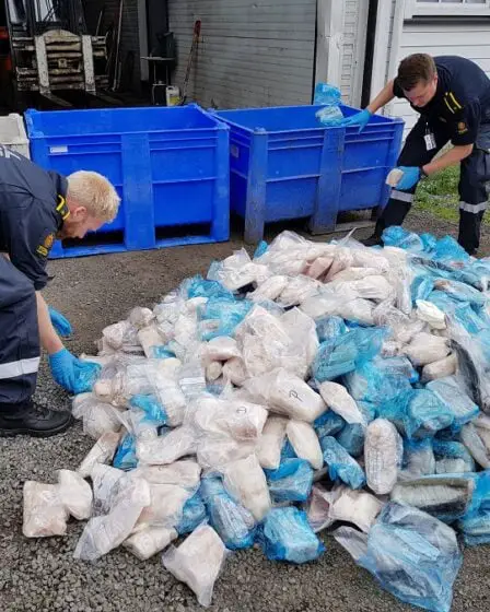 Une tonne de poisson saisie 20 Une tonne de poisson saisie - 19