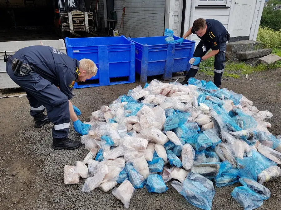 Une tonne de poisson saisie 4 Une tonne de poisson saisie - 3
