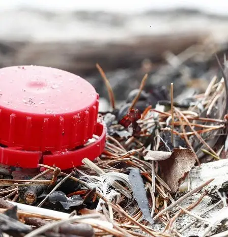 Réexamen de l'interdiction des plastiques jetables 5 Réexamen de l'interdiction des plastiques jetables - 4