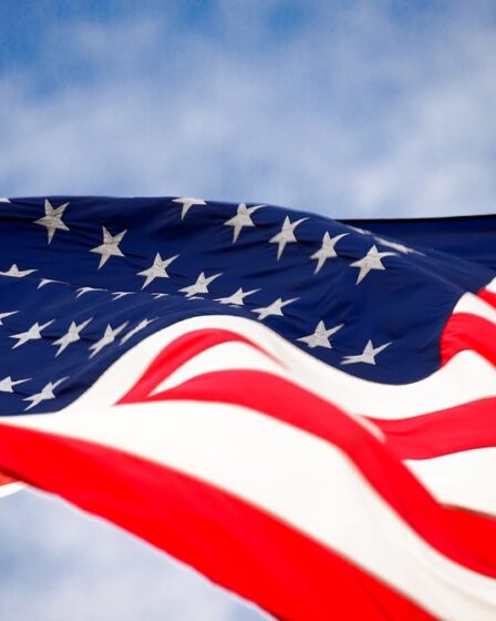 Les démocrates américains veulent des néo-nazis norvégiens sur la liste des terroristes 20 Les démocrates américains veulent des néo-nazis norvégiens sur la liste des terroristes - 19