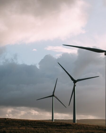 Les entrepreneurs établiront une usine de batteries géante à Mo i Rana 11 Les entrepreneurs établiront une usine de batteries géante à Mo i Rana - 10