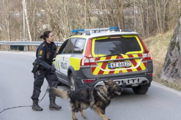 PHOTO: un homme abattu à Kristiansand, une personne accusée de tentative de meurtre - 20
