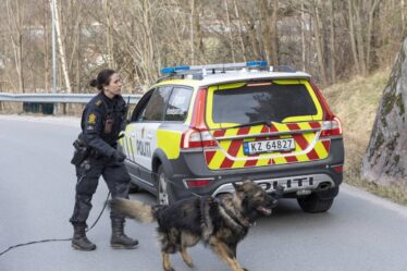 Nordland: une personne a été poignardée dans le dos plusieurs fois - 16