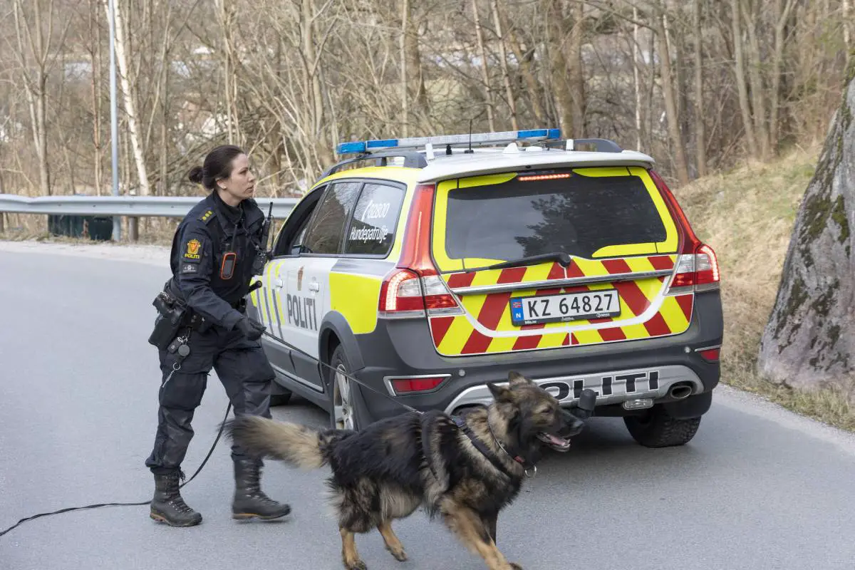 PHOTO: un homme abattu à Kristiansand, une personne accusée de tentative de meurtre 8 PHOTO: un homme abattu à Kristiansand, une personne accusée de tentative de meurtre - 7