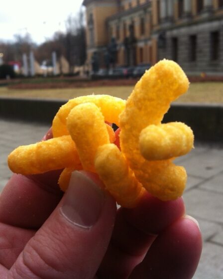 Une alimentation malsaine est le principal défi pour notre santé 20 Une alimentation malsaine est le principal défi pour notre santé - 19