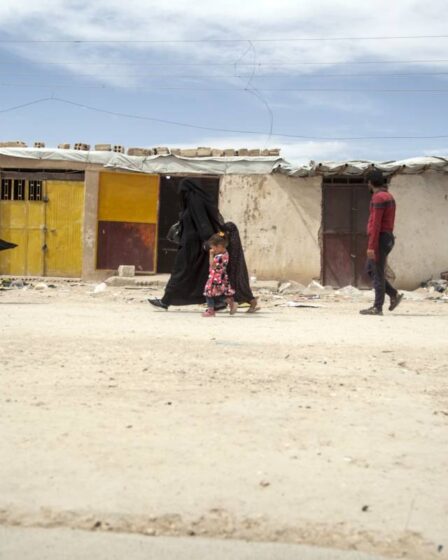 Une troisième femme affiliée à l'Etat islamique demande de l'aide à la Norvège 26 Une troisième femme affiliée à l'Etat islamique demande de l'aide à la Norvège - 25