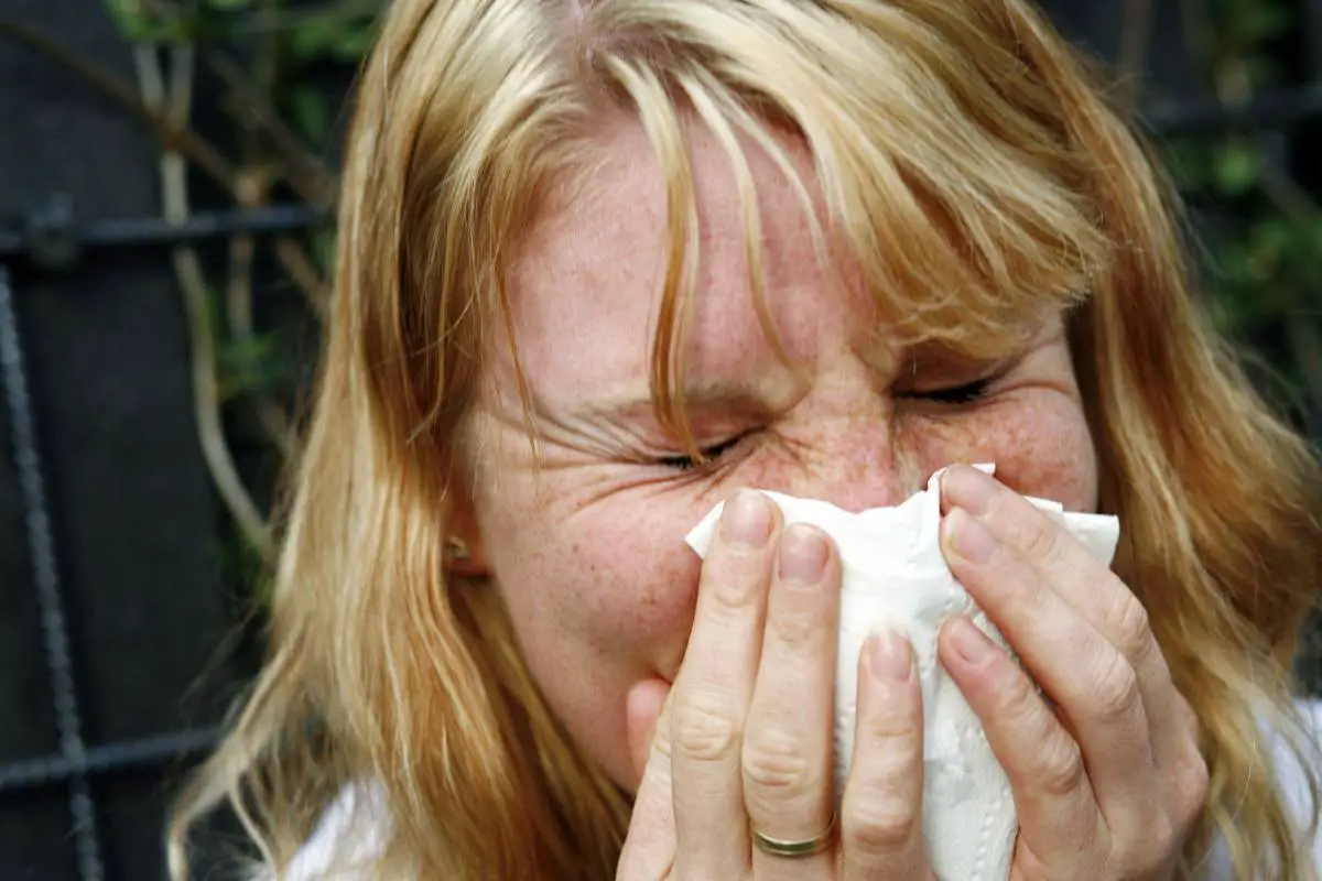 Association norvégienne des pharmacies: il est important de commencer le traitement contre les allergies tôt cette année 4 Association norvégienne des pharmacies: il est important de commencer le traitement contre les allergies tôt cette année - 3