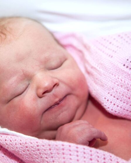 Les taux de natalité en Norvège augmentent après l'année corona de 2020 - 15