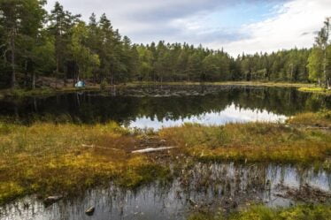Nouveau rapport: la biodiversité en Norvège est sous pression - 20