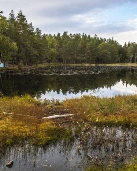 Nouveau rapport: la biodiversité en Norvège est sous pression 8 Nouveau rapport: la biodiversité en Norvège est sous pression - 7