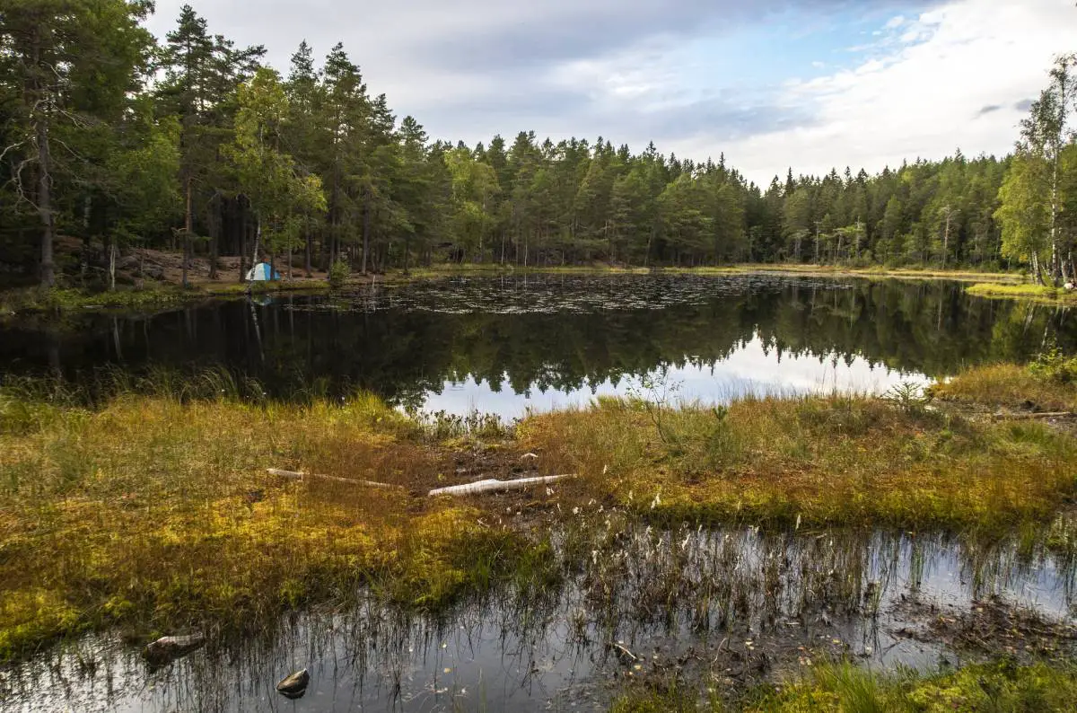 Nouveau rapport: la biodiversité en Norvège est sous pression - 3