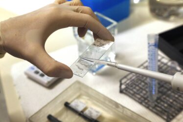 Épidémie de Corona détectée dans un internat à l'extérieur de Bergen - 16