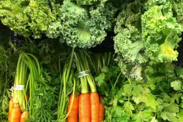 L'été sec produira des légumes brûlés par le soleil et tordus dans les magasins - 20