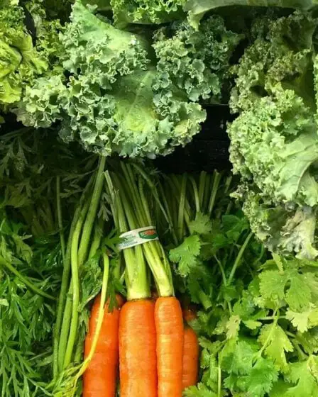 L'été sec produira des légumes brûlés par le soleil et tordus dans les magasins - 29