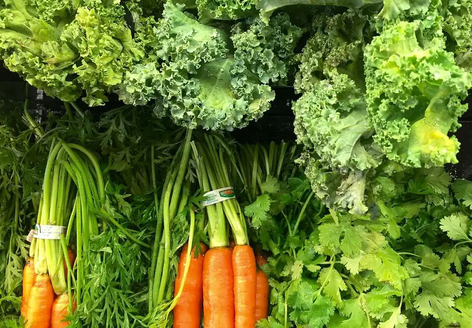 L'été sec produira des légumes brûlés par le soleil et tordus dans les magasins 4 L'été sec produira des légumes brûlés par le soleil et tordus dans les magasins - 3