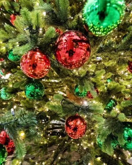 Près d'un million de Norvégiens sont aux prises avec des «allergies de Noël», avec des symptômes rappelant le coronavirus 20 Près d'un million de Norvégiens sont aux prises avec des «allergies de Noël», avec des symptômes rappelant le coronavirus - 19