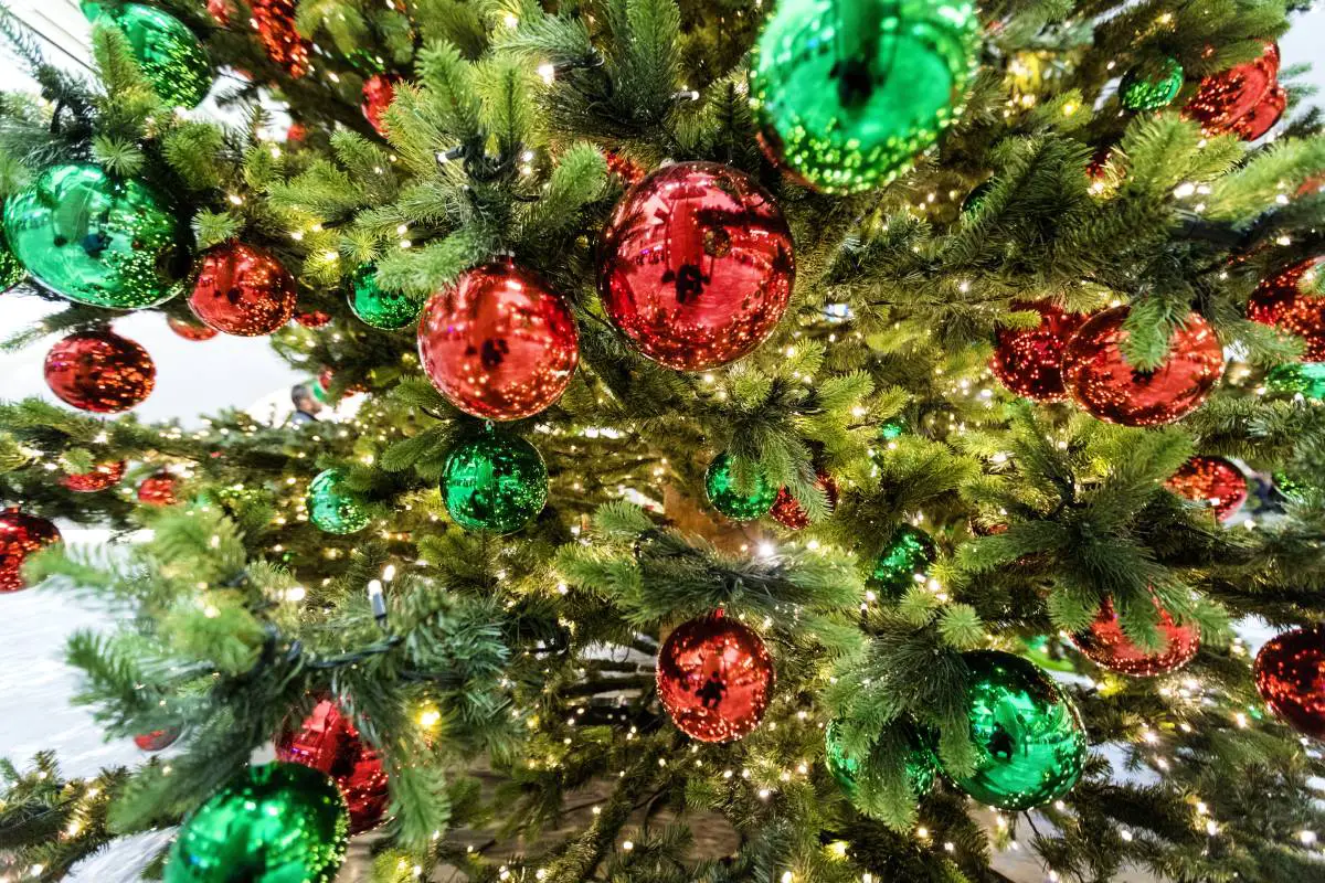Près d'un million de Norvégiens sont aux prises avec des «allergies de Noël», avec des symptômes rappelant le coronavirus 4 Près d'un million de Norvégiens sont aux prises avec des «allergies de Noël», avec des symptômes rappelant le coronavirus - 3