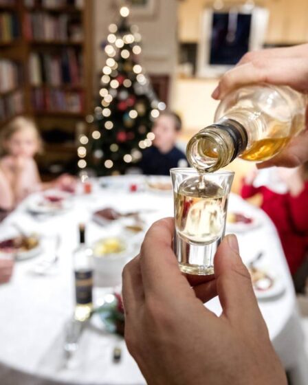 La police norvégienne inflige des amendes corona totalisant 165000 couronnes après une grande fête de famille à Romerike 5 La police norvégienne inflige des amendes corona totalisant 165000 couronnes après une grande fête de famille à Romerike - 4