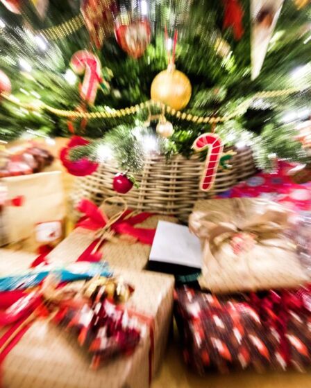 Chaque employé de l'administration norvégienne des routes publiques recevra 5000 couronnes en guise de cadeau de Noël 14 Chaque employé de l'administration norvégienne des routes publiques recevra 5000 couronnes en guise de cadeau de Noël - 13