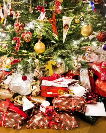 Les Norvégiens ont trouvé moins de cadeaux mais plus chers sous leurs sapins de Noël cette année, selon de nouveaux chiffres 14 Les Norvégiens ont trouvé moins de cadeaux mais plus chers sous leurs sapins de Noël cette année, selon de nouveaux chiffres - 13