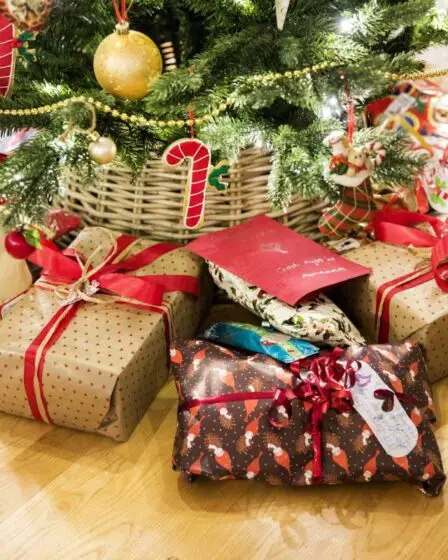 Que mettent les Norvégiens sous le sapin de Noël cette année? Moins de skis et plus de téléphones portables - 4
