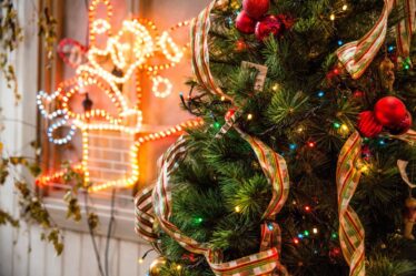 Un chercheur sur le bonheur encourage les Norvégiens à accrocher les lumières de Noël maintenant: «Cela crée de la joie» - 16