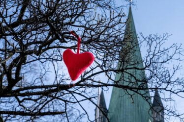 La Saint-Valentin en Norvège: en quoi sera-t-il différent avec COVID-19? - 16