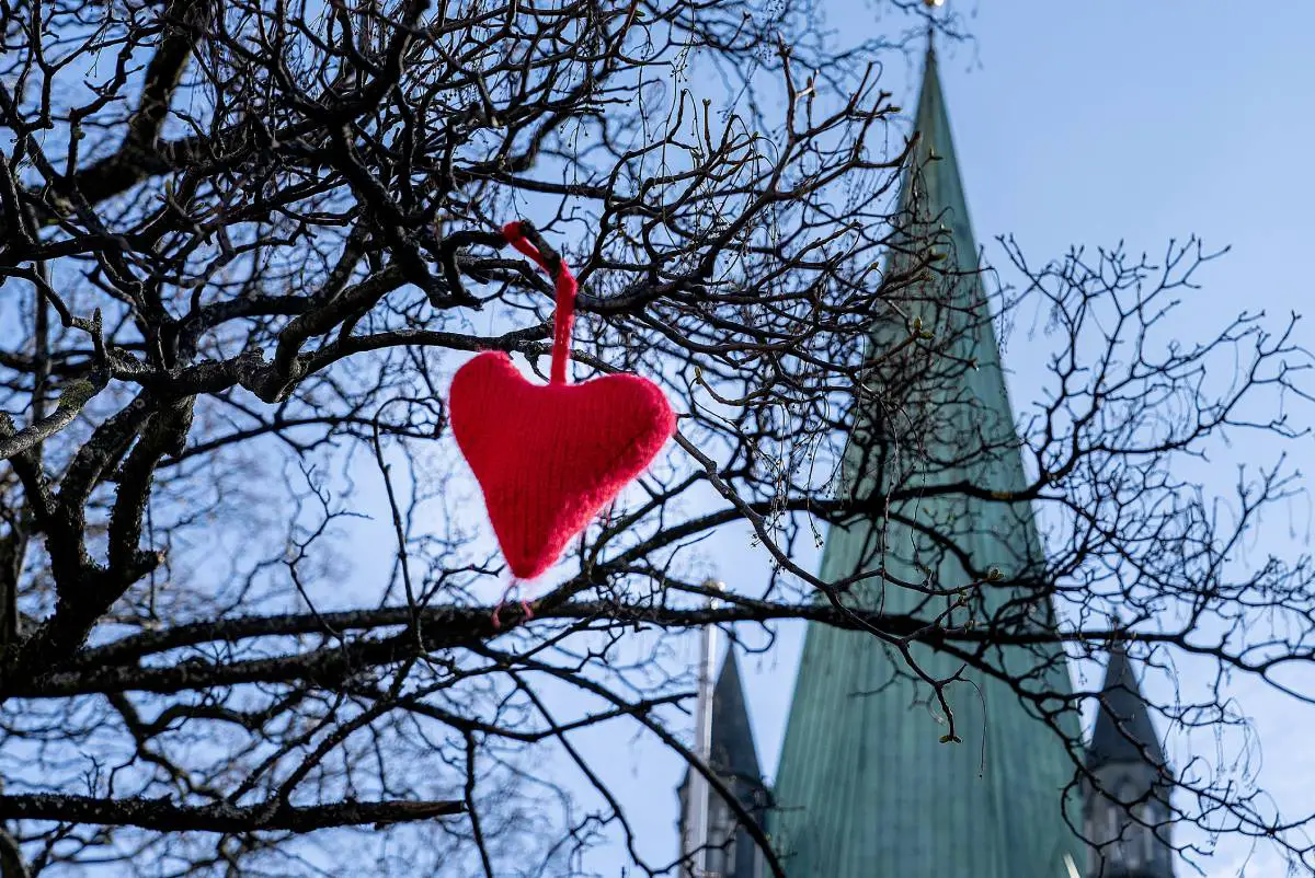 La Saint-Valentin en Norvège: en quoi sera-t-il différent avec COVID-19? - 3