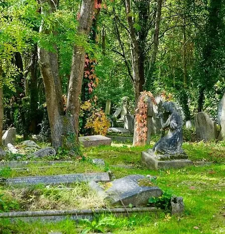 Oslo pourrait avoir trois nouvelles façons d'être enterré 19 Oslo pourrait avoir trois nouvelles façons d'être enterré - 18