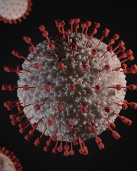 Variante de coronavirus britannique mutée détectée en Norvège 26 Variante de coronavirus britannique mutée détectée en Norvège - 25