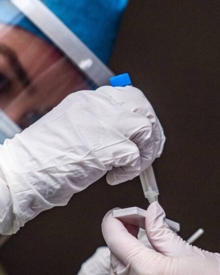 Une infection à coronavirus confère probablement une immunité pendant au moins six mois, selon une étude 26 Une infection à coronavirus confère probablement une immunité pendant au moins six mois, selon une étude - 25