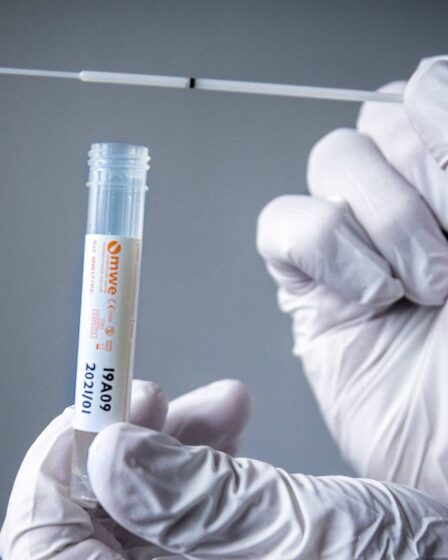 35 variantes du coronavirus découvertes en Norvège 20 35 variantes du coronavirus découvertes en Norvège - 19