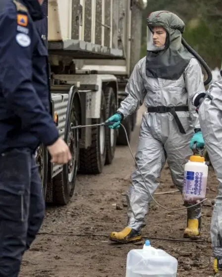 Le massacre de visons bat son plein à Jylland au Danemark 8 Le massacre de visons bat son plein à Jylland au Danemark - 7