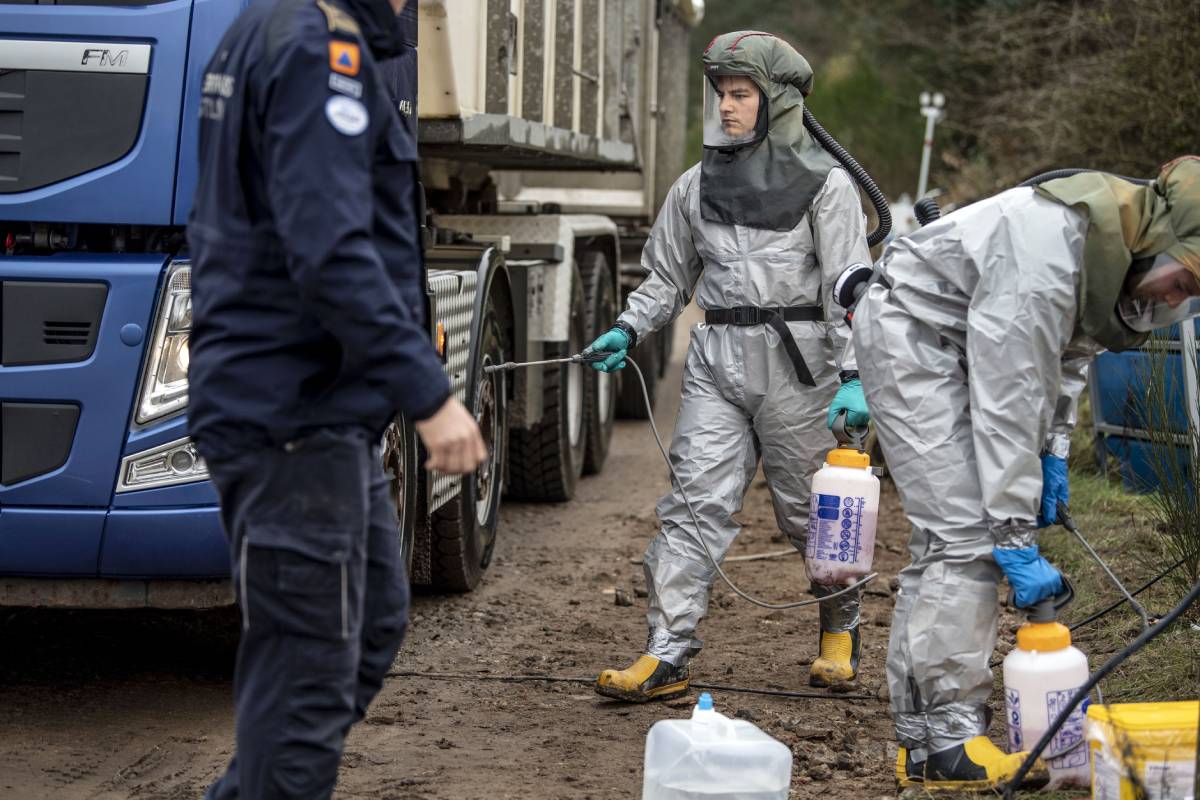 Le massacre de visons bat son plein à Jylland au Danemark 4 Le massacre de visons bat son plein à Jylland au Danemark - 3