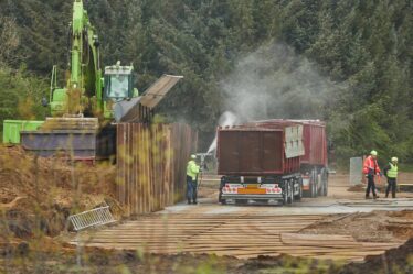 13000 tonnes de visons morts excavés au Danemark - 20