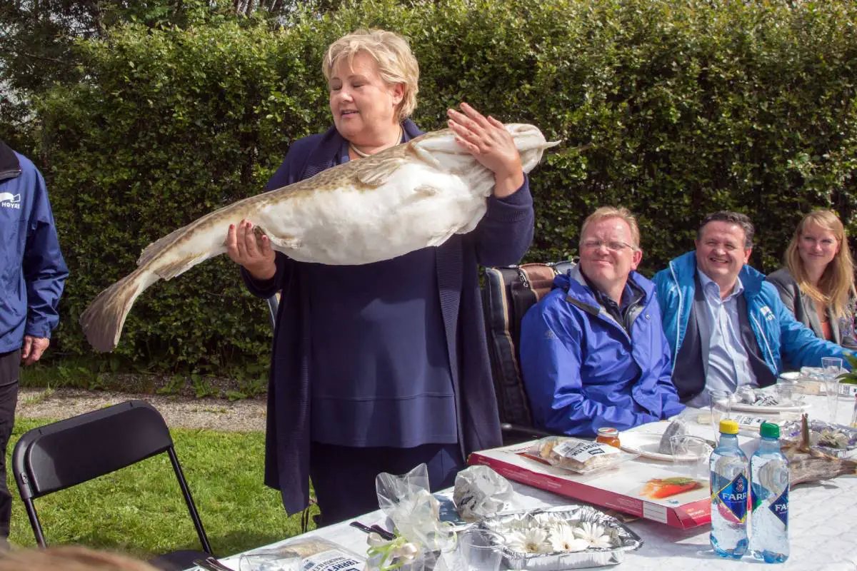 La Norvège accordera à l'UE un quota de 34000 tonnes de cabillaud dans la zone du Svalbard en 2021 4 La Norvège accordera à l'UE un quota de 34000 tonnes de cabillaud dans la zone du Svalbard en 2021 - 3