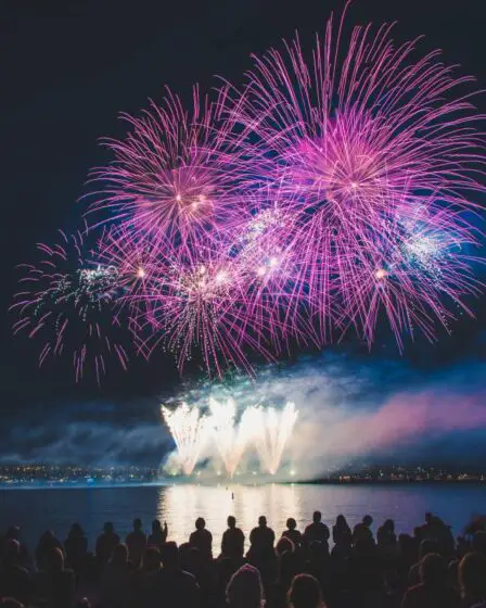 Sondage: 68% des Norvégiens sont enclins à interdire les feux d'artifice le soir du Nouvel An 17 Sondage: 68% des Norvégiens sont enclins à interdire les feux d'artifice le soir du Nouvel An - 16