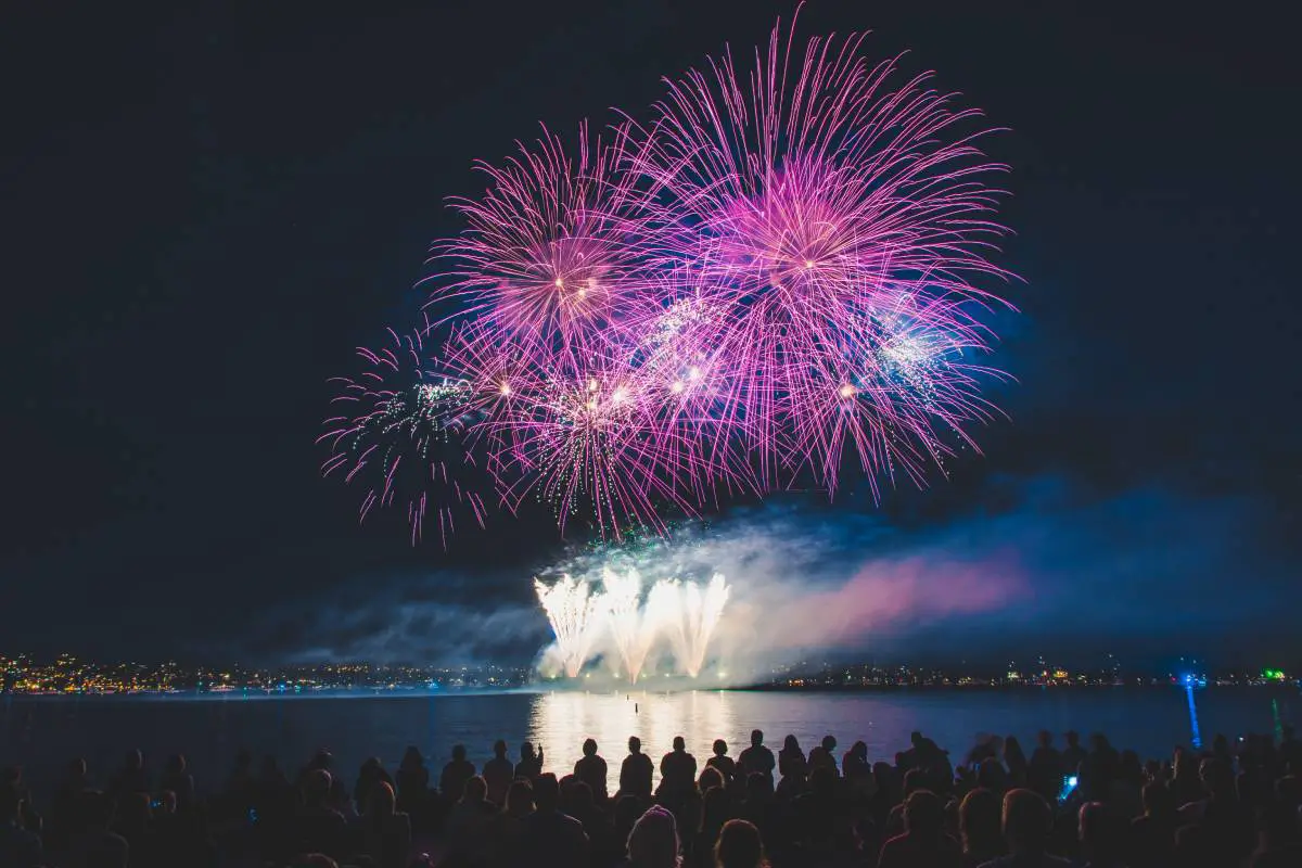 Sondage: 68% des Norvégiens sont enclins à interdire les feux d'artifice le soir du Nouvel An - 3