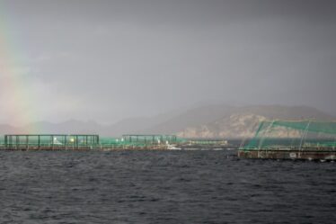 Le Rift a conduit à une grande évasion de saumon à Roan - Norway Today - 18