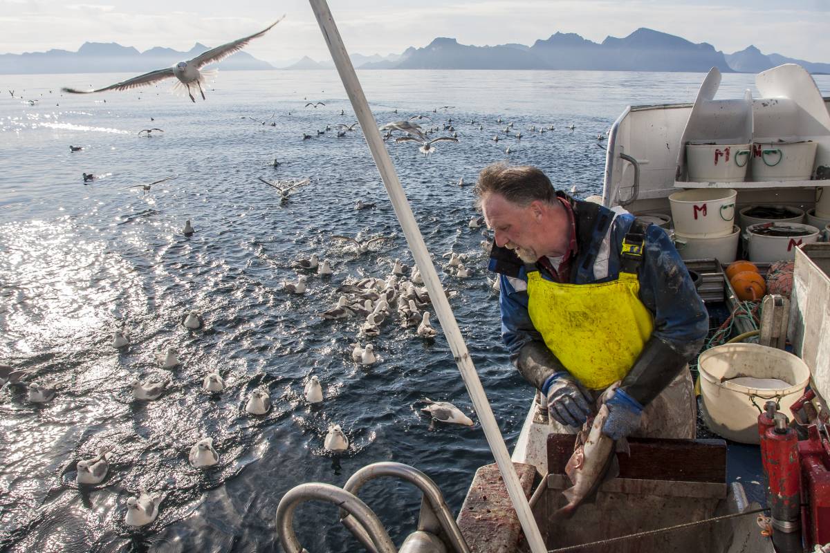 La Norvège menace d'interdire les pêcheurs de l'UE des eaux norvégiennes après le Nouvel An 4 La Norvège menace d'interdire les pêcheurs de l'UE des eaux norvégiennes après le Nouvel An - 3