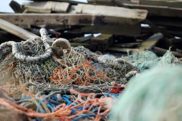 Campagne de nettoyage : environ 100 tonnes d'engins de pêche retirés des fonds marins de la Norvège - 16