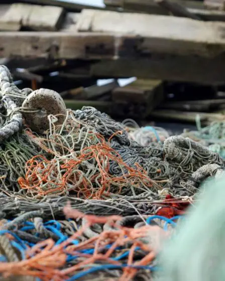 Campagne de nettoyage : environ 100 tonnes d'engins de pêche retirés des fonds marins de la Norvège - 16