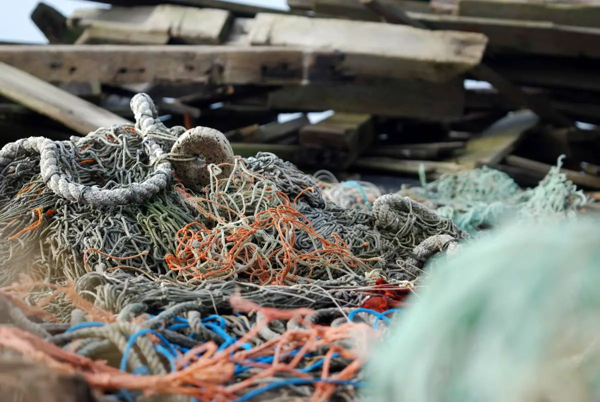 La Direction de la pêche saisit 103 outils de pêche après un effort d'inspection à l'extérieur de Bergen 4 La Direction de la pêche saisit 103 outils de pêche après un effort d'inspection à l'extérieur de Bergen - 3