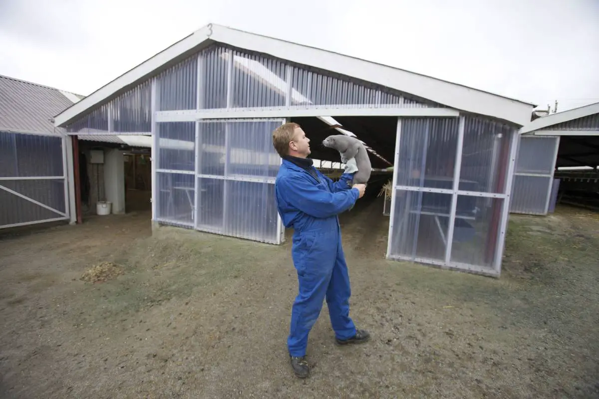 L'opposition parlementaire s'accorde sur une extension majeure de l'indemnisation des éleveurs norvégiens 4 L'opposition parlementaire s'accorde sur une extension majeure de l'indemnisation des éleveurs norvégiens - 3