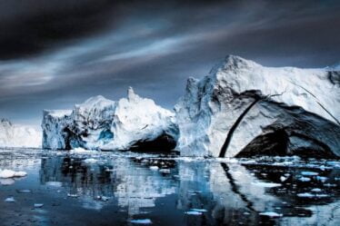 Une première: les scientifiques marins ont découvert la vie dans les profondeurs de la mer sous le pôle Nord - 18