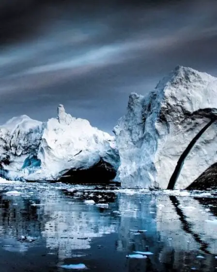 Une première: les scientifiques marins ont découvert la vie dans les profondeurs de la mer sous le pôle Nord 36 Une première: les scientifiques marins ont découvert la vie dans les profondeurs de la mer sous le pôle Nord - 35